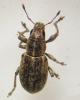 257115 – Photo : Guénael Hallart – France (02)